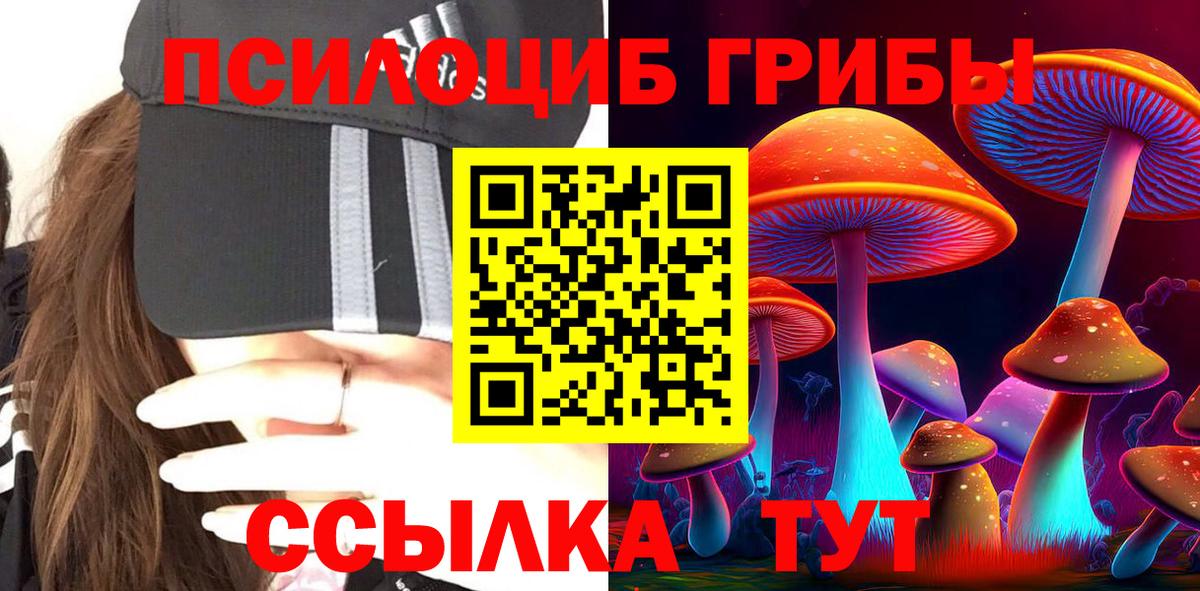 Псилоцибиновые грибы Cubensis Лангепас